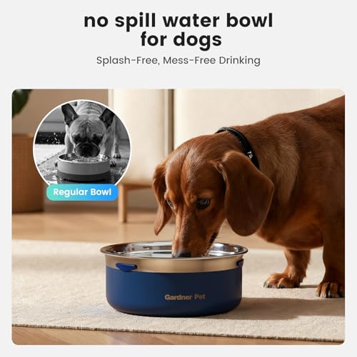 Slow Water Bowl for Dogs