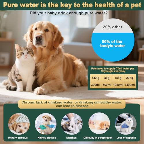 Pet Water Fountain Filters (10 Count)