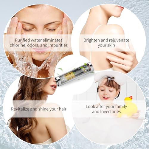 Filtered Shower Head with Handheld