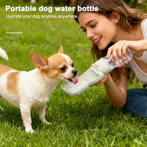 Dog Water Bottle