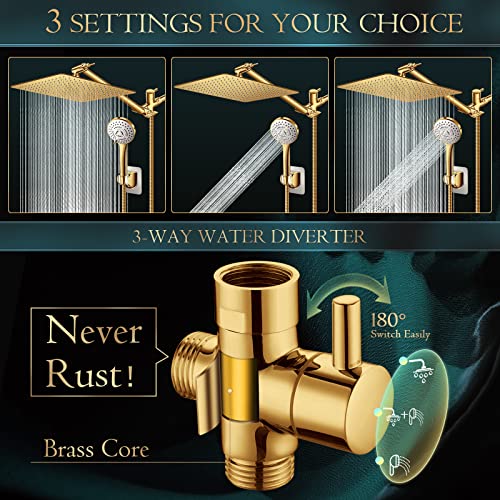 Shower Head 12'' Rain Shower Head with 11'' Extension Arm