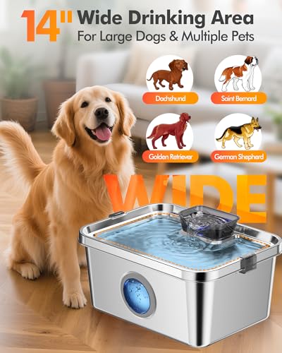 12L Dog Water Fountain