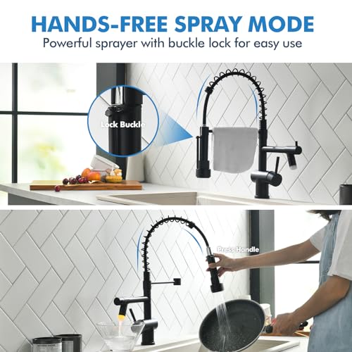 Kitchen Faucet with Pull Down Sprayer
