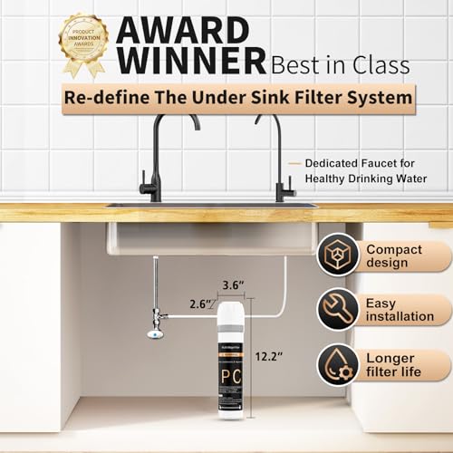 Under Sink Water Filter System with Black Faucet