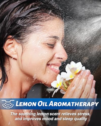 Filtered Shower Head with Handheld Spray for Skin and Hair Care