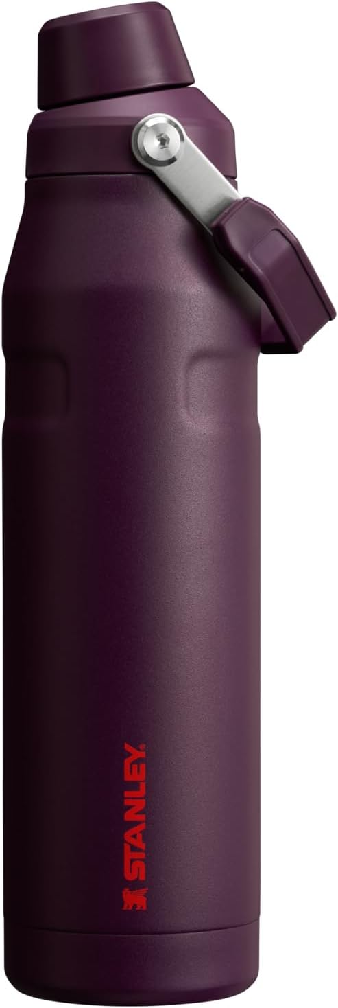 Stanley IceFlow Fast Flow Water Bottle | Angled Spout Lid | Lightweight & Leakproof for Travel & Sports | Insulated Stainless Steel | BPA-Free