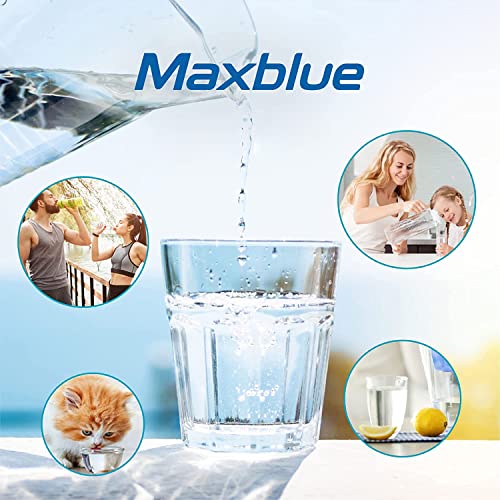 UKF8001 Refrigerator Water Filter