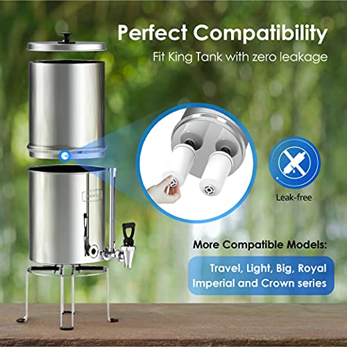 Gravity Water Filter (2 Count)