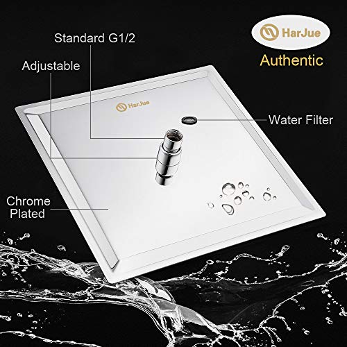Shower Head with Extension Arm