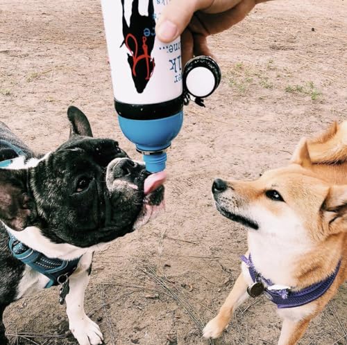 Never Walk Alone Pet Water Bottle