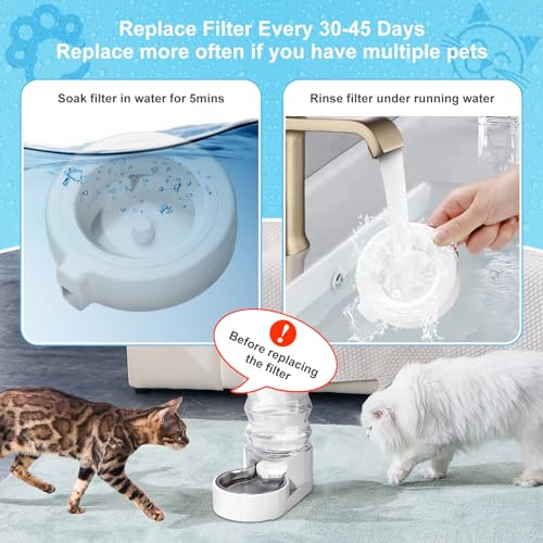 8 Pack Replacement Filters for 3.6L