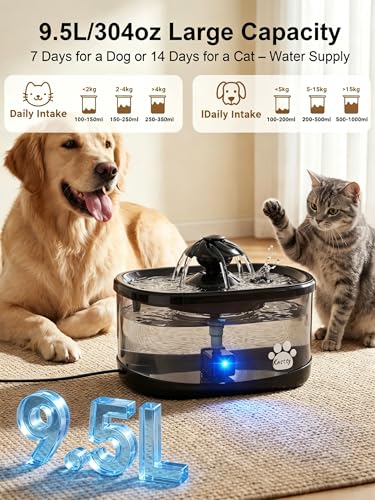 9.5L Dog Water Fountain
