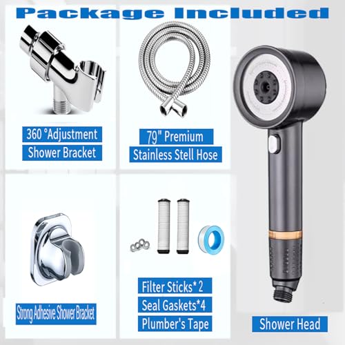 Shower Head with Handheld