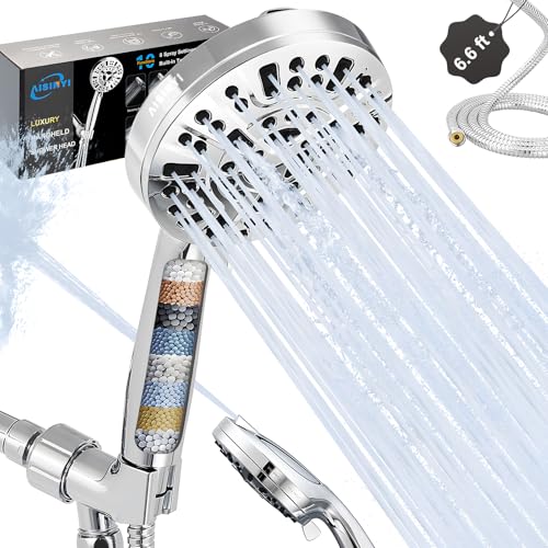 Filtered Shower Head with Handheld