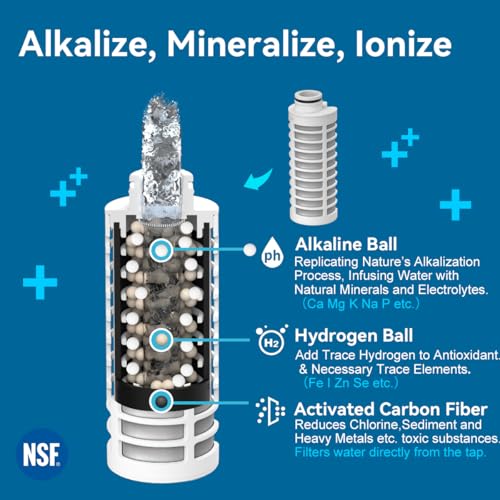 Alkaline Water Filter Bottle