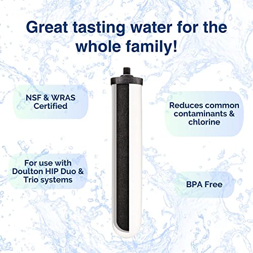 W9123053 ¦ 10" UltraCarb ¦ Authentic Drinking Water Ceramic Replacement Candle Element Filter ¦ 9501 ¦ White ¦ NSF Certified ¦ BSP Thread ¦