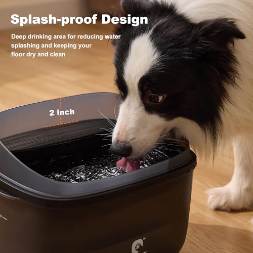 Dog Water Fountain for Large Dogs