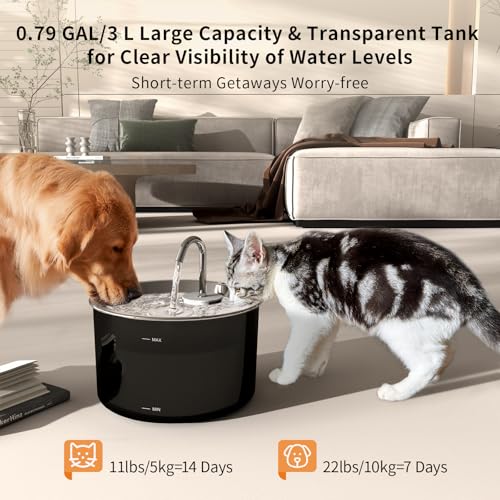 3L 101oz Cat Water Fountain