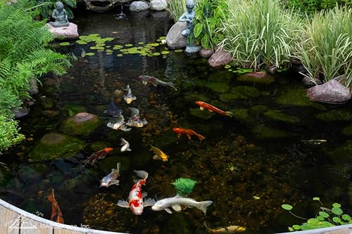 95053 UltraKlean 2000 Gallon Biological Pressure Filter with 14 Watt UV Clarifier Sterilizer for Pond Water Feature