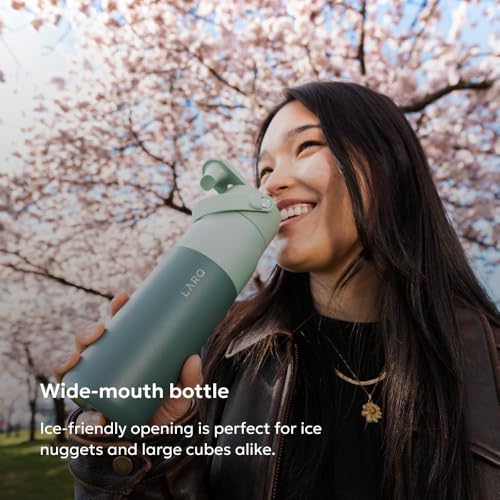 Swig Top Insulated Stainless Steel Water Bottle with Straw and Handle