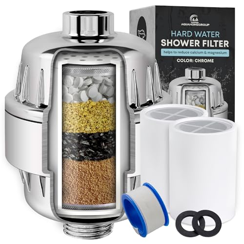 Shower Head Filter (2 Count)