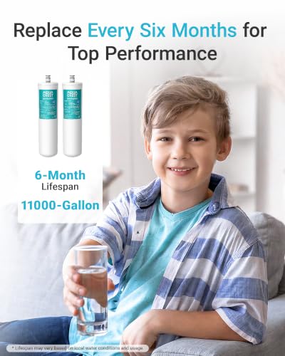 DW80 90 Water Filter Replacement for Aqua (2 Count)
