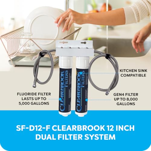 12 Inch Dual Filter System