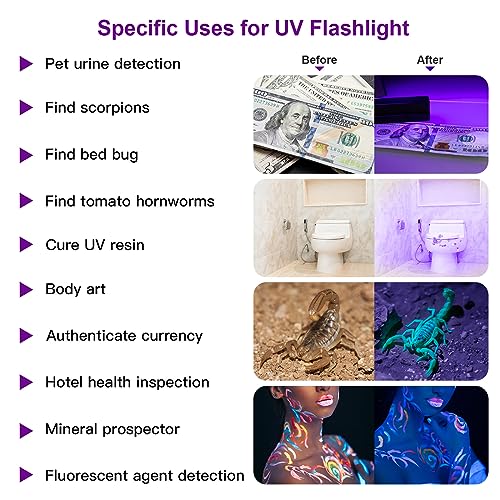 UV Black Light Flashlights (4 Count)