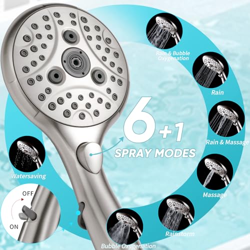 10'' Dual 20 Stage Filtered Shower Head with Handheld