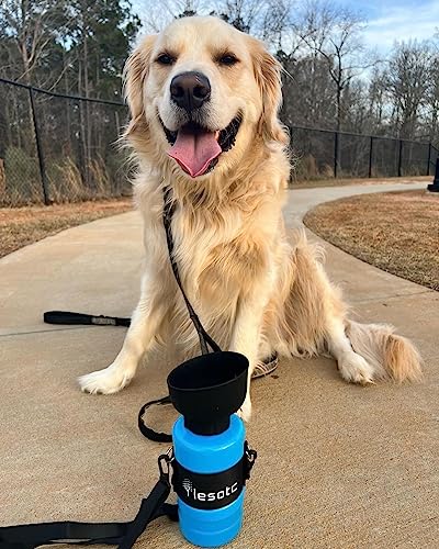 Dog Water Bottle