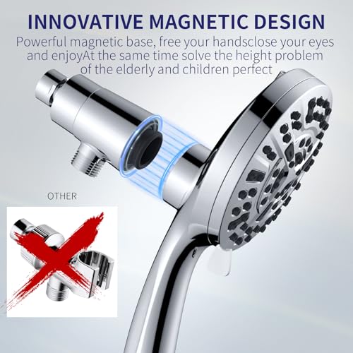 Filtered Shower Head with Handheld