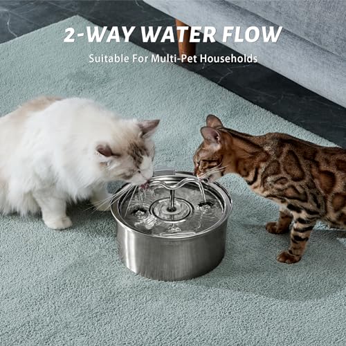 Cat Water Fountain