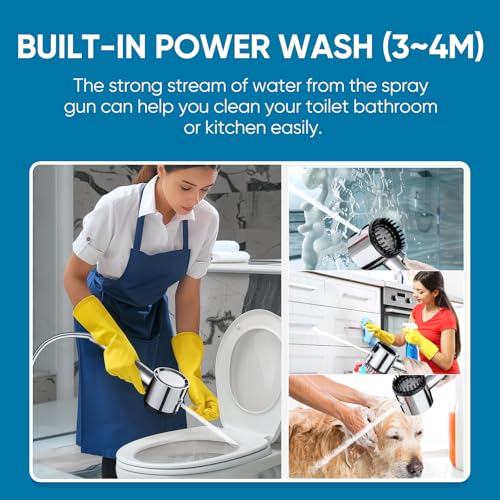 Filtered Shower Head with Handheld
