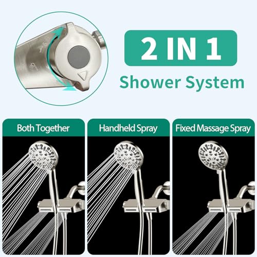 Filtered Shower Head with Handheld Combo