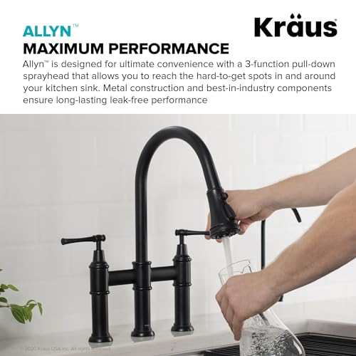 Allyn Transitional Bridge Kitchen Faucet with Pull