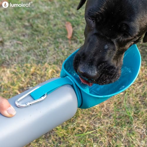 Insulated Dog Water Bottle 27 oz Stainless Steel