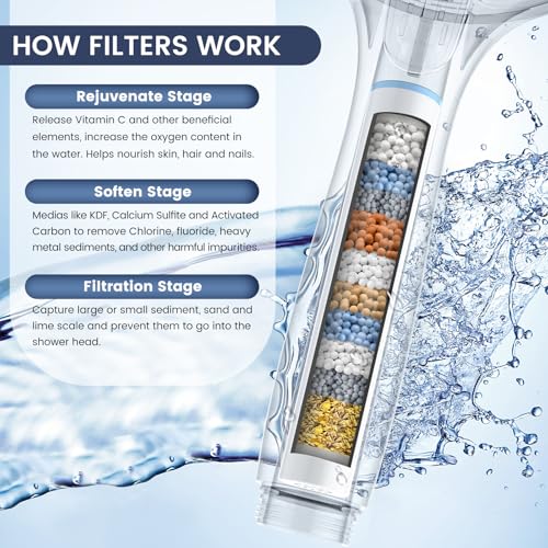 Filtered Shower Head with Handheld