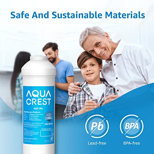 INL 5 Years Inline Water Filter for Ice Maker and Refrigerator