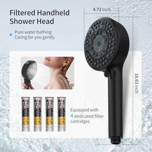 Filtered Shower Head with Handheld