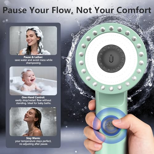 Filtered Shower Head with Handheld