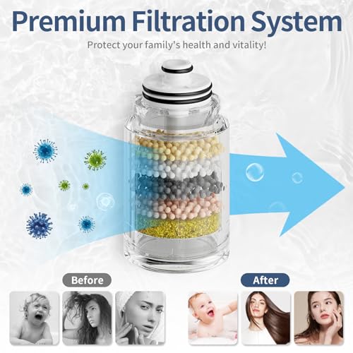 Magnetic Filtered Dual Shower Head with Handheld Spray Combo