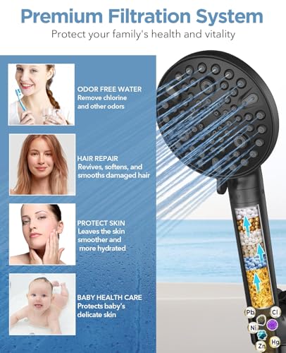 Filtered Shower Head with Handheld