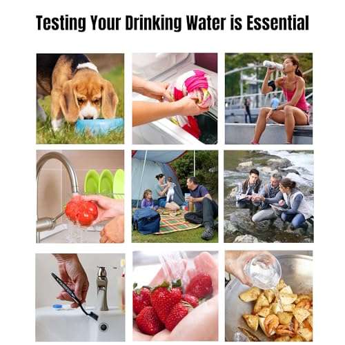 H2O OK Essentials Water Test Kit (10 Count)