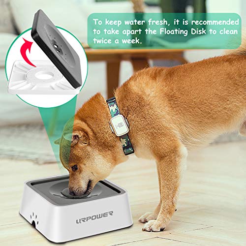 2.5L Dog Water Bowl 85oz Large Capacity Dog Bowls