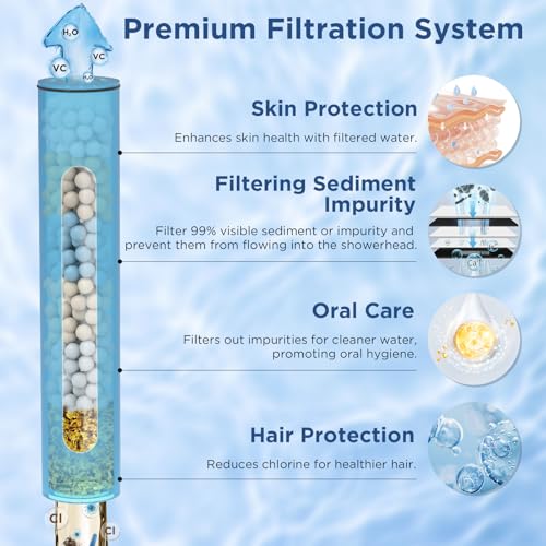 Dual Filtered Handheld Shower Heads Combo