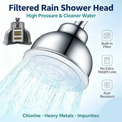 All Metal 6 Inch Filtered Shower Head