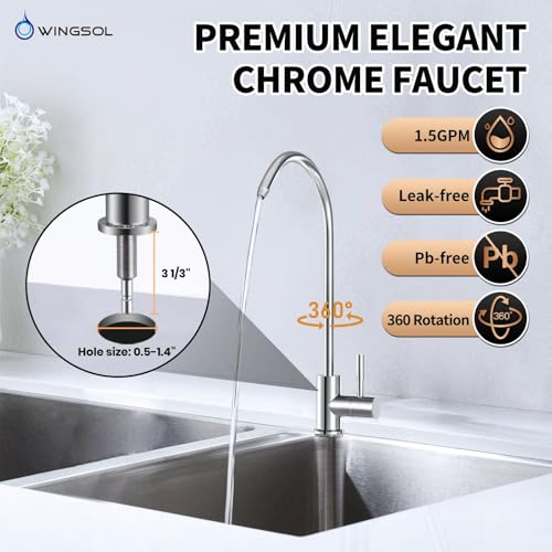 Under Sink Water Filter System with Chrome Faucet