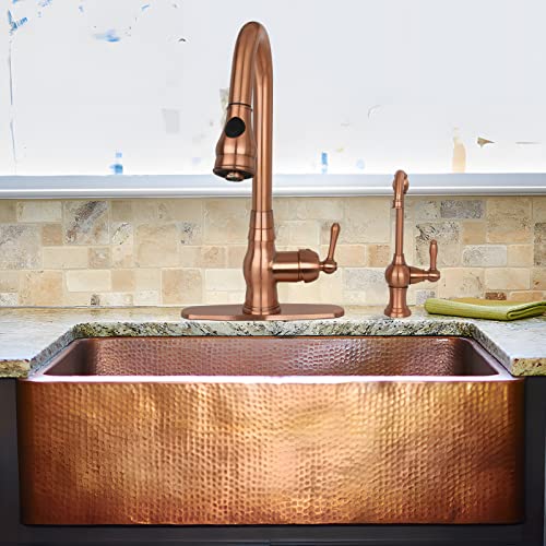 Kitchen Water Filter Faucet