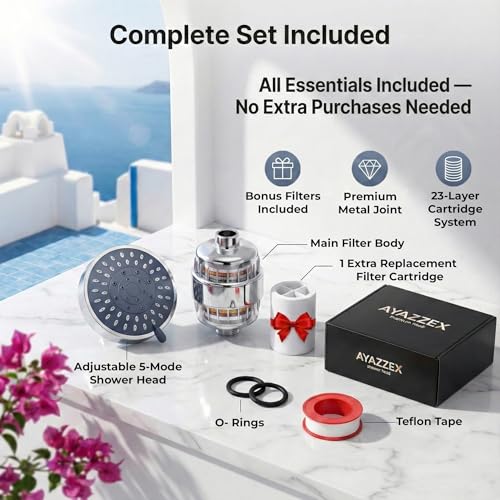Filtered Shower Head with 2 Filter Cartridges
