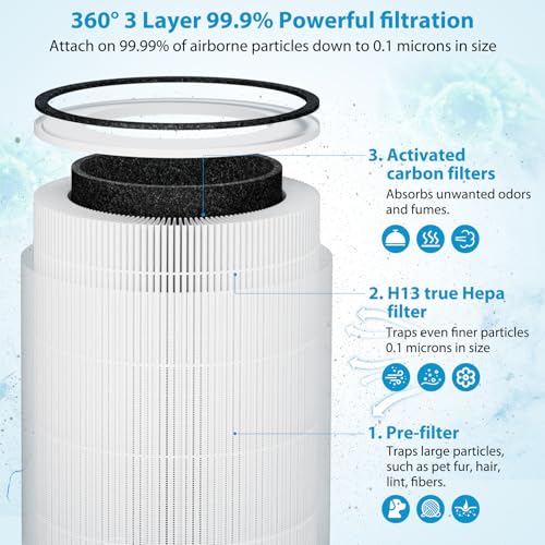 2 Pack True HEPA Kilo Filter Replacement for Afloia Kilo (2 Count)